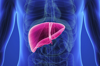 fatty liver life insurance with medical conditions fatty liver life insurance with medical conditions