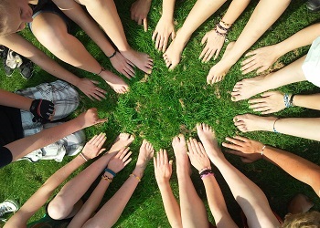 hangs grass image