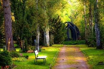 peaceful cemetary image - how to find a life insurance policy exists article