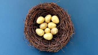 golden eggs in a basket - annuities article