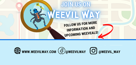 Weevil Way Image