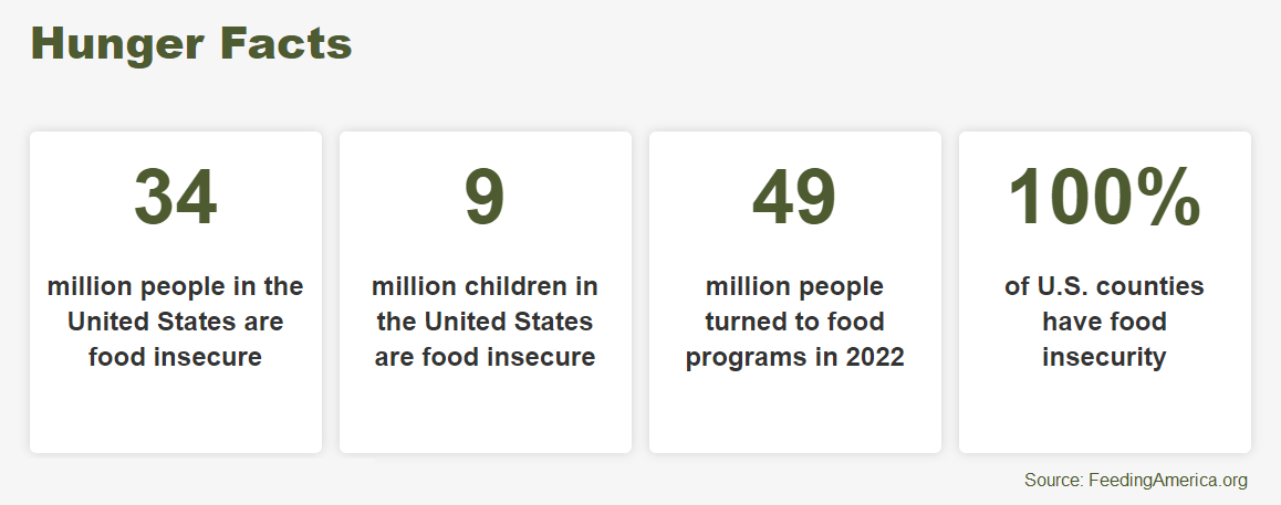 Hunger Statistics image