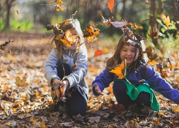 kids leaves image