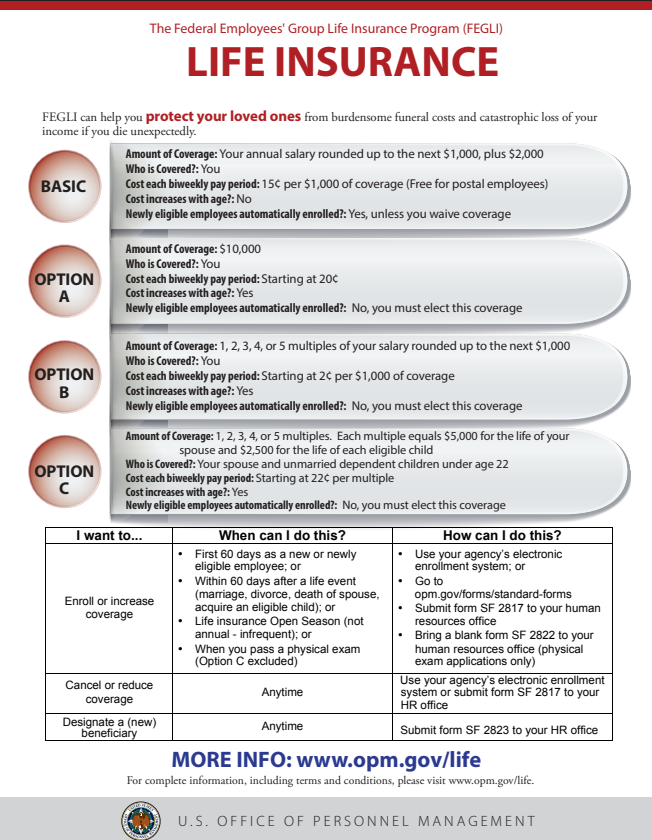 FEGLI Overview fllyer image