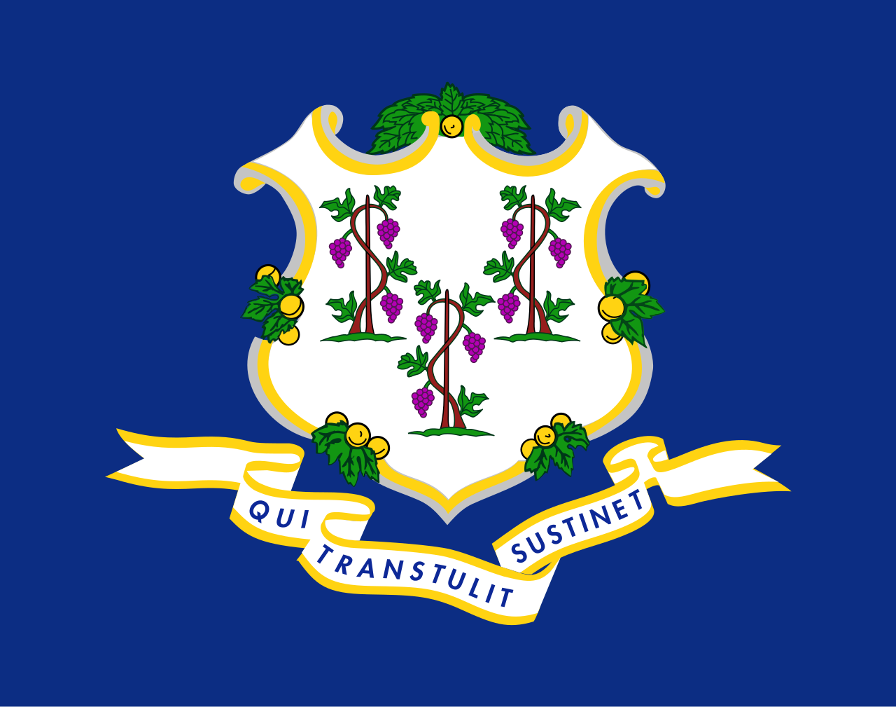 ct flag